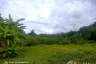 Land for sale in Mueang Kaeo, Chiang Mai