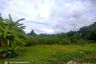 Land for sale in Mueang Kaeo, Chiang Mai