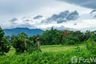 Land for sale in Mueang Kaeo, Chiang Mai