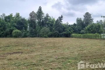 Land for sale in Nam Phrae, Chiang Mai