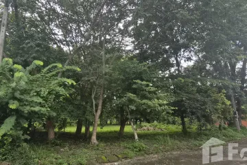 Land for sale in Talat Khwan, Chiang Mai