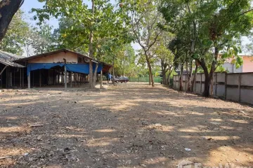 Land for sale in Ton Pao, Chiang Mai