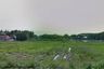 Land for sale in Nong Chom, Chiang Mai