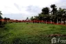 Land for sale in San Na Meng, Chiang Mai