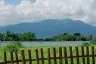 Land for sale in Mueang Kaeo, Chiang Mai