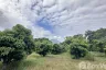 Land for sale in Sam Roi Yot, Prachuap Khiri Khan