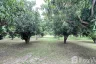 Land for sale in Sam Roi Yot, Prachuap Khiri Khan