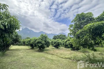 Land for sale in Sam Roi Yot, Prachuap Khiri Khan