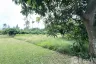 Land for sale in Sam Roi Yot, Prachuap Khiri Khan