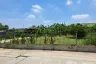 Land for sale in Nong Khaem, Bangkok
