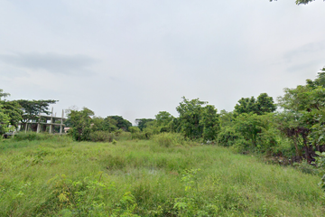 Land for sale in Nong Chom, Chiang Mai