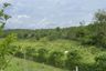 Land for sale in Huai Sai, Chiang Mai