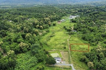 Land for sale in Huai Sai, Chiang Mai