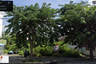Land for sale in Khlong Thanon, Bangkok