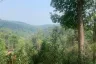 Land for sale in Huai Sai, Chiang Mai
