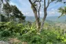Land for sale in Maret, Surat Thani