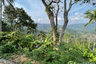 Land for sale in Maret, Surat Thani