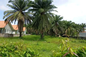 Land for sale in Si Sunthon, Phuket