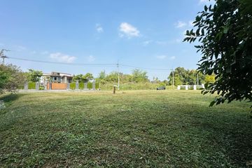 Land for sale in Huai Sai, Chiang Mai