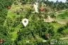Land for sale in Bo Phut, Surat Thani
