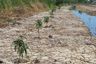 Land for sale in Khlong Sip Song, Bangkok
