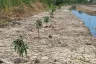 Land for sale in Khlong Sip Song, Bangkok