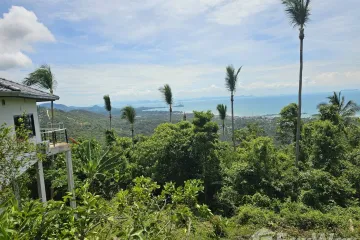 Land for sale in Ang Thong, Surat Thani