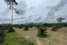 Land for sale in Lo Yung, Phang Nga