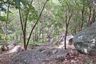 Land for sale in Santikhiri Estate, Na Mueang, Surat Thani