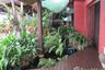 4 Bedroom Condo for sale in Vieng Ping Condominium, Chang Phueak, Chiang Mai