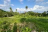 Land for sale in Bo Phut, Surat Thani