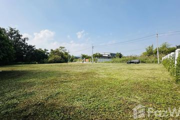 Land for sale in Huai Sai, Chiang Mai