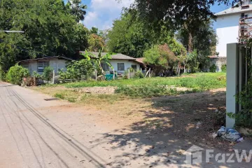 Land for sale in Pa Daet, Chiang Mai