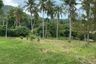 Land for sale in Bo Phut, Surat Thani