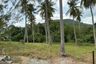 Land for sale in Bo Phut, Surat Thani