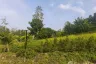 Land for sale in Bo Phut, Surat Thani