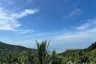 Land for sale in Ko Pha-ngan, Surat Thani