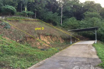Land for sale in Mae Nam, Surat Thani
