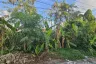 Land for sale in Thawi Watthana, Bangkok