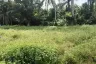 Land for sale in Mae Nam, Surat Thani
