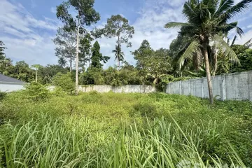 Land for sale in Mae Nam, Surat Thani