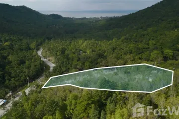 Land for sale in Ko Pha-ngan, Surat Thani