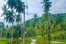 Land for sale in Taling Ngam, Surat Thani