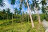 Land for sale in Taling Ngam, Surat Thani