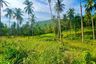 Land for sale in Taling Ngam, Surat Thani