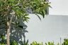 2 Bedroom Villa for rent in Bo Phut, Surat Thani