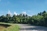 Land for sale in Mae Pong, Chiang Mai