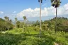 Land for sale in Bo Phut, Surat Thani