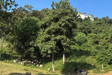 Land for sale in Bo Phut, Surat Thani