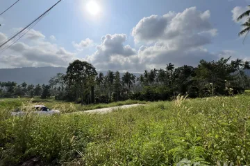 Land for sale in Maret, Surat Thani